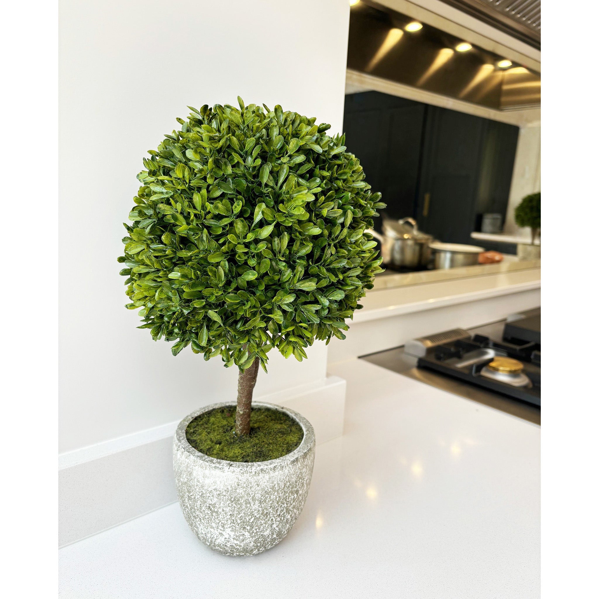 Topiary Bush in Stone Effect Pot